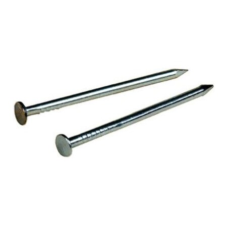 Common Nail, 1-1/4 In L, 3D